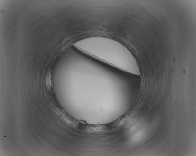 X0000082950479200702011052