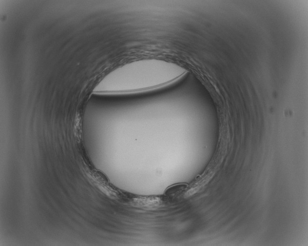 X0000082950480200702011052