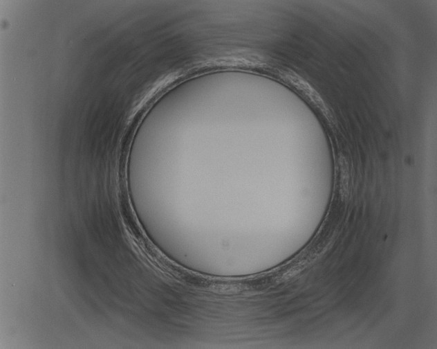 X0000082950482200702011051