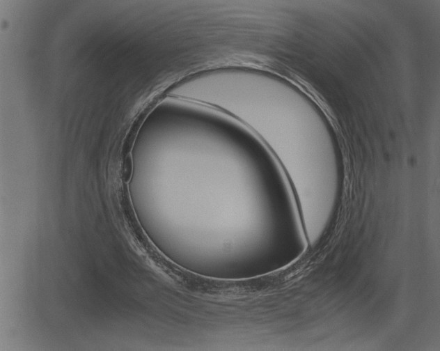 X0000082950485200702011051