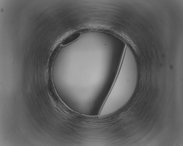 X0000082950488200702011051
