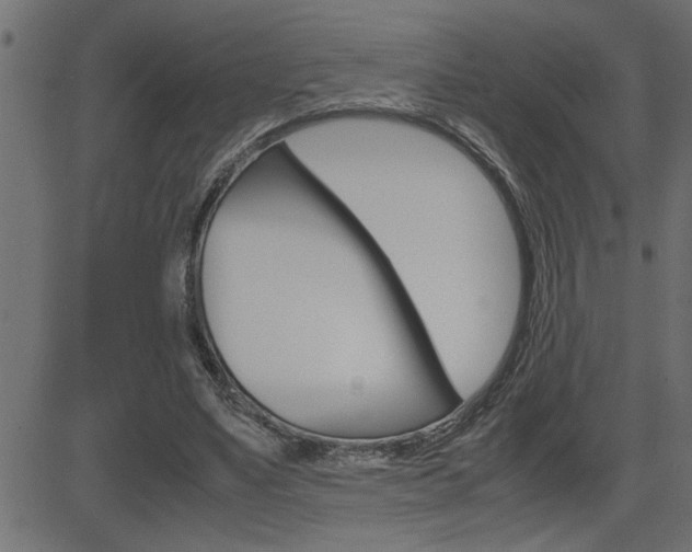 X0000082950491200702011051