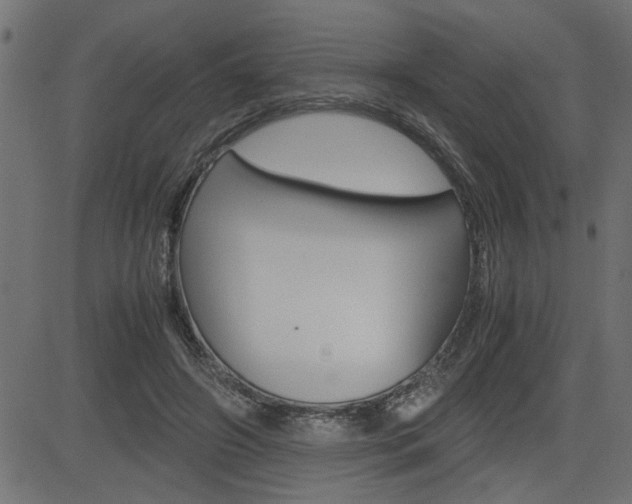 X0000082950498200702011051