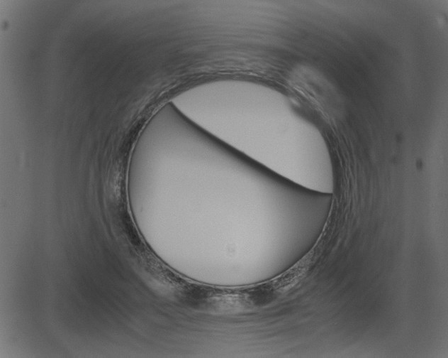 X0000082950499200702011051