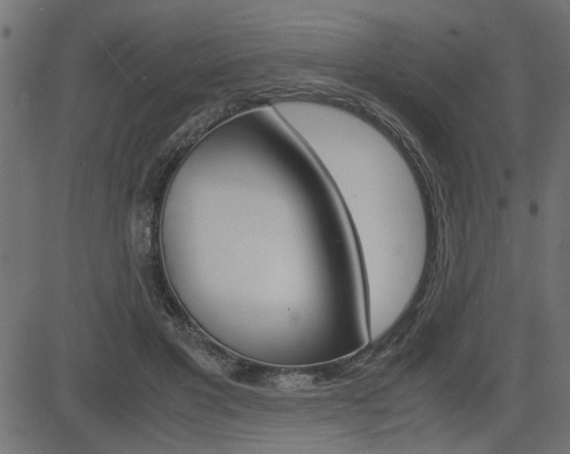 X0000082950501200702011051