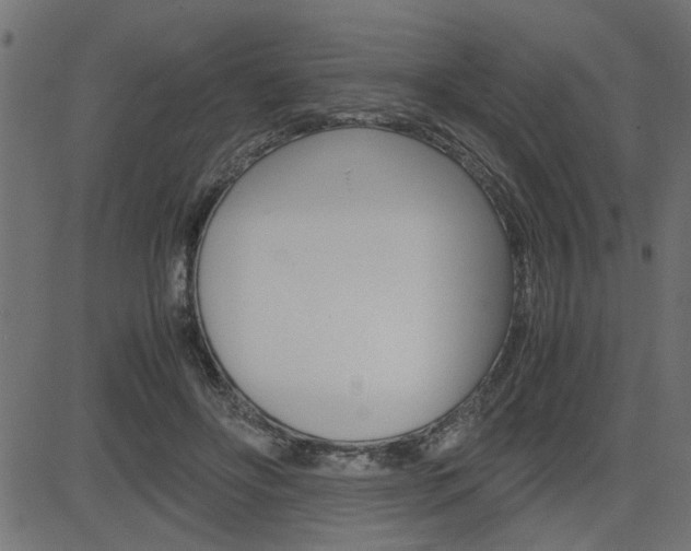 X0000082950502200702011051