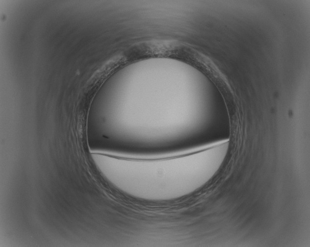 X0000082950505200702011051