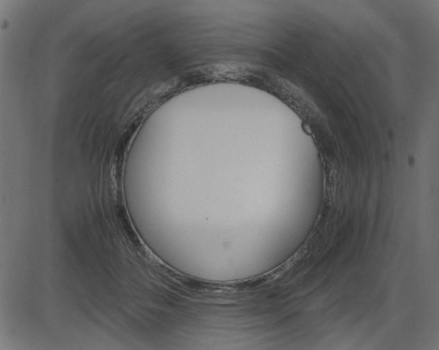 X0000082950506200702011051