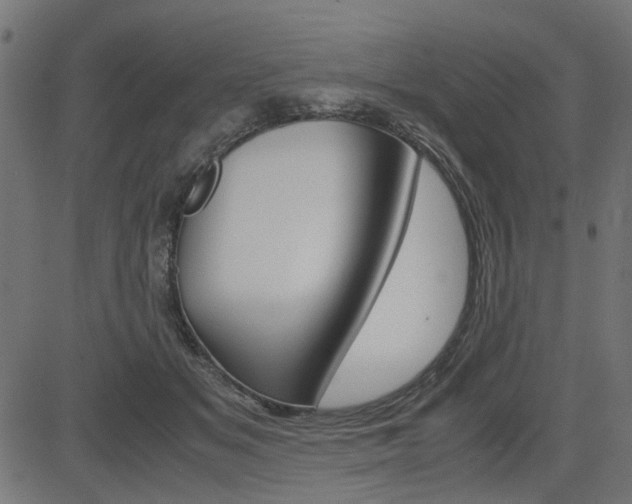X0000082950509200702011051