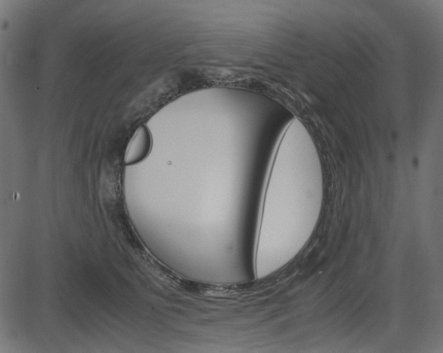 X0000082950515200702011051