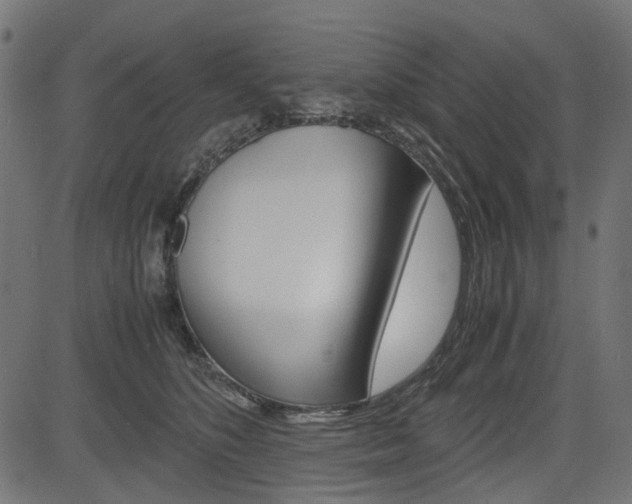 X0000082950516200702011051
