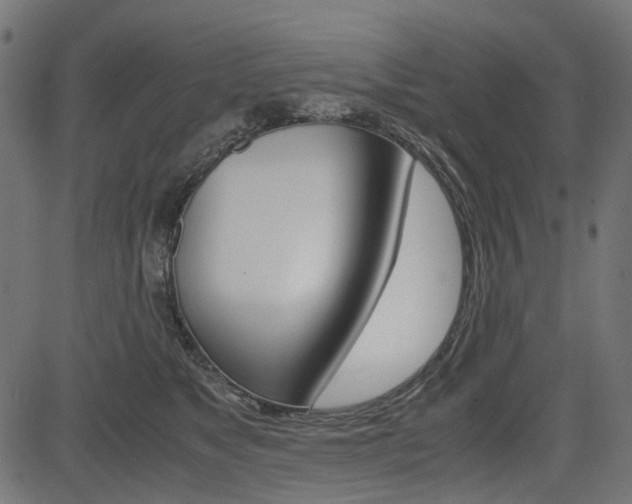 X0000082950517200702011051