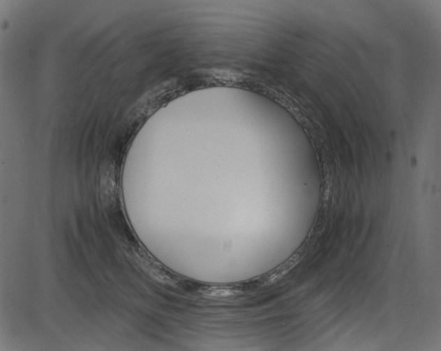 X0000082950518200702011051
