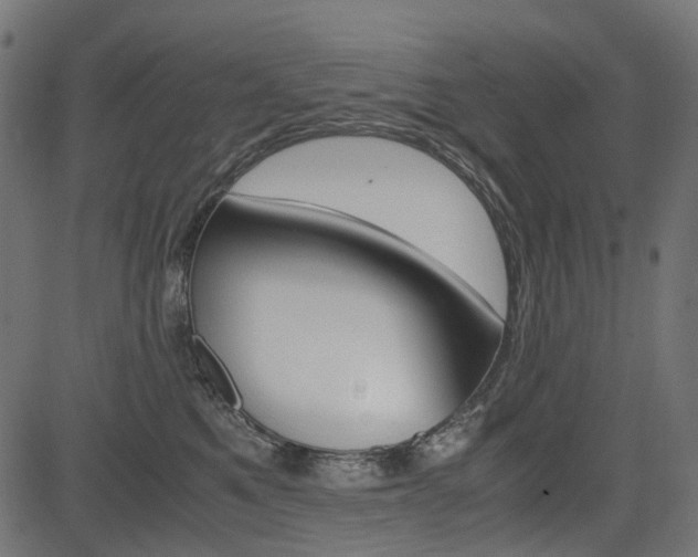 X0000082950521200702011051