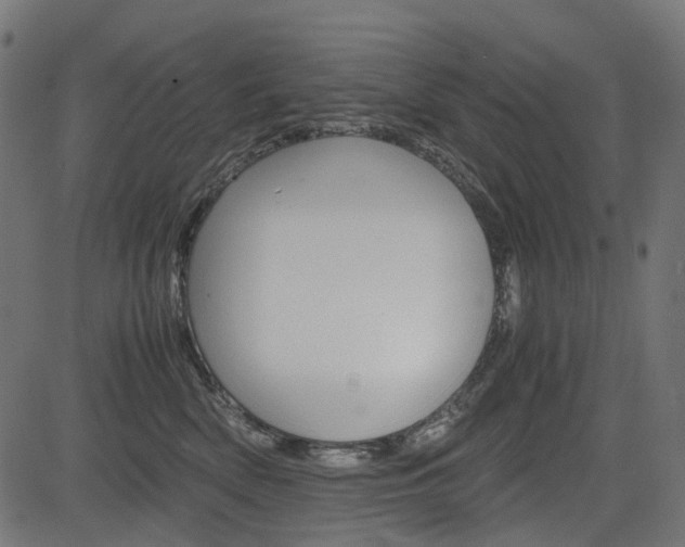 X0000082950522200702011051
