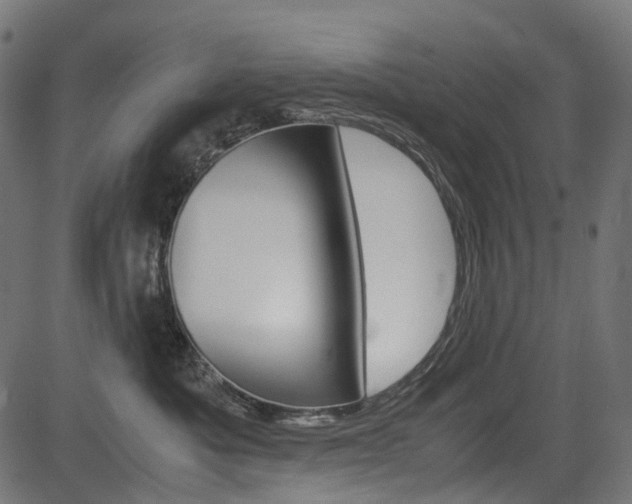 X0000082950525200702011051