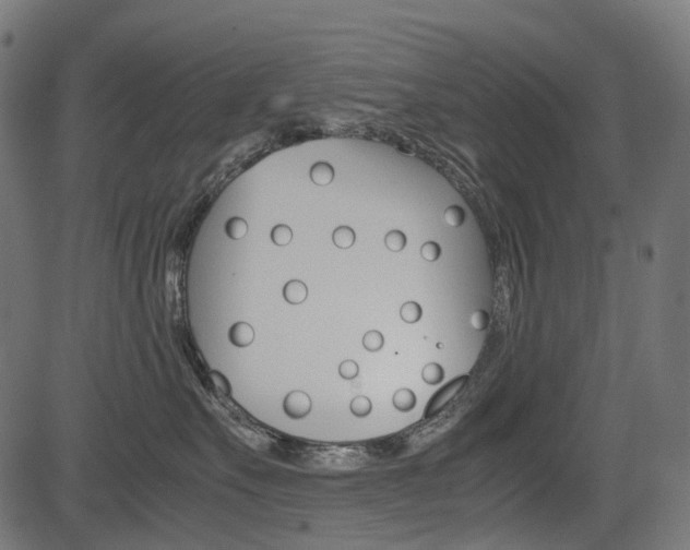 X0000082950527200702011051