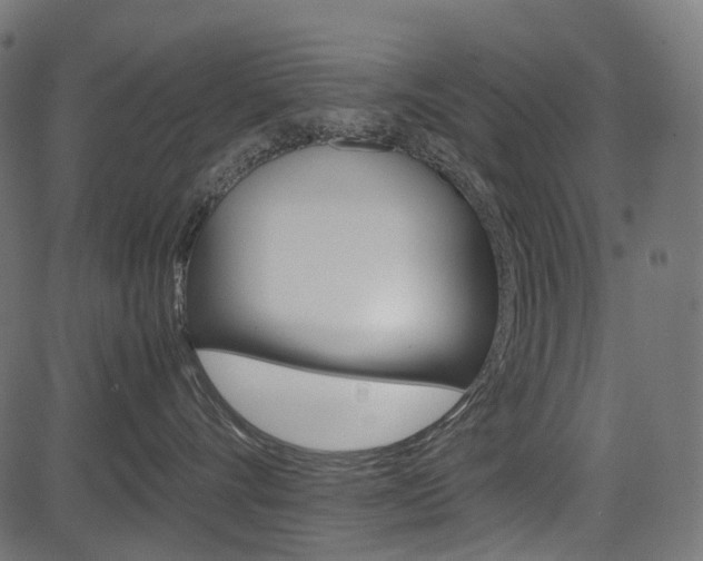 X0000082950528200702011051