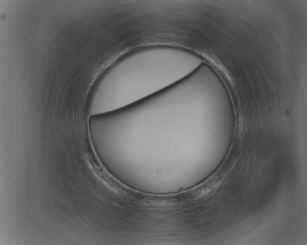 X0000082950533200702011050