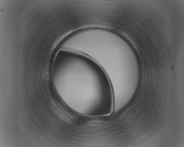 X0000082950536200702011050
