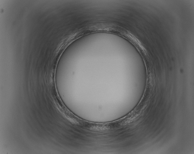 X0000082950537200702011050