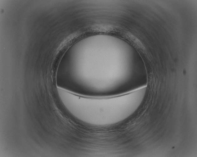 X0000082950544200702011050