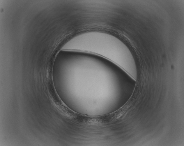 X0000082950546200702011050