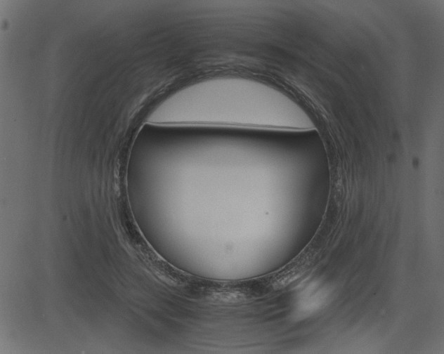 X0000082950547200702011050