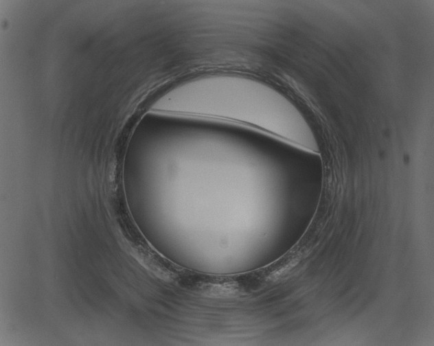 X0000082950548200702011050