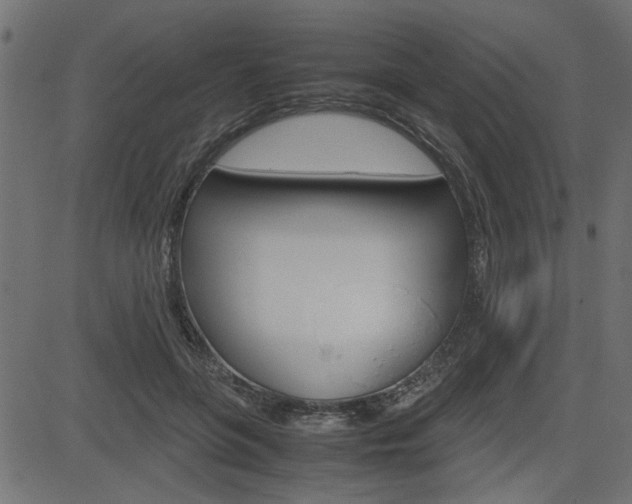 X0000082950551200702011050