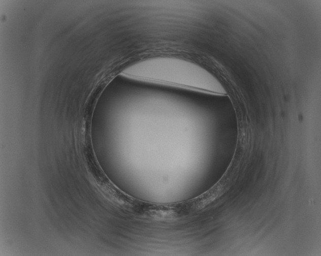 X0000082950552200702011050