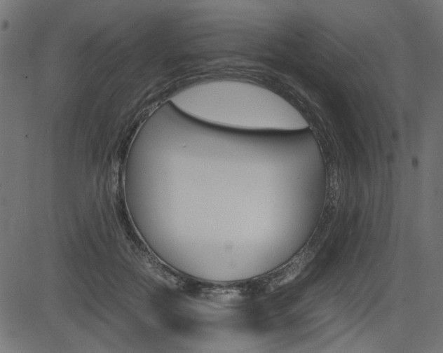 X0000082950554200702011050