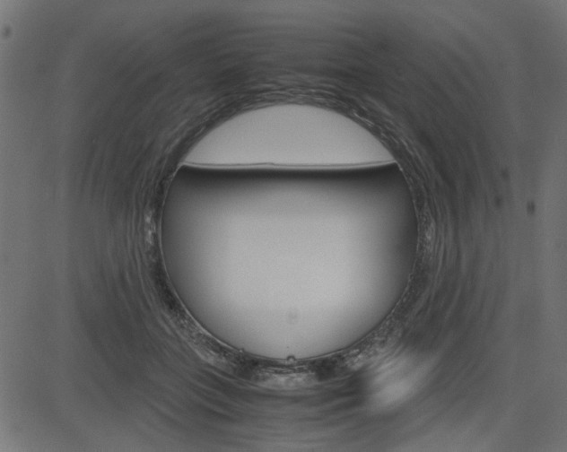 X0000082950555200702011050