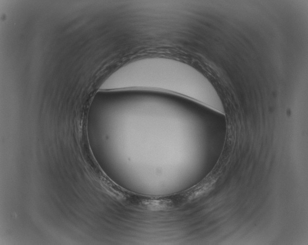 X0000082950558200702011050