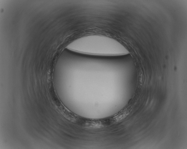 X0000082950559200702011050