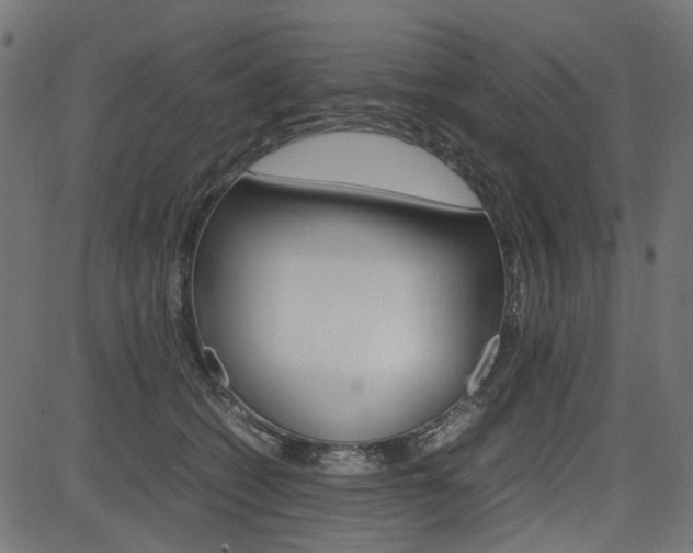 X0000082950562200702011050