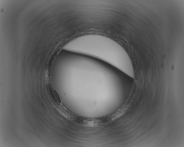 X0000082950564200702011051