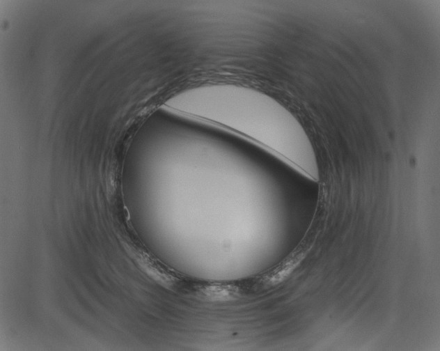 X0000082950566200702011051