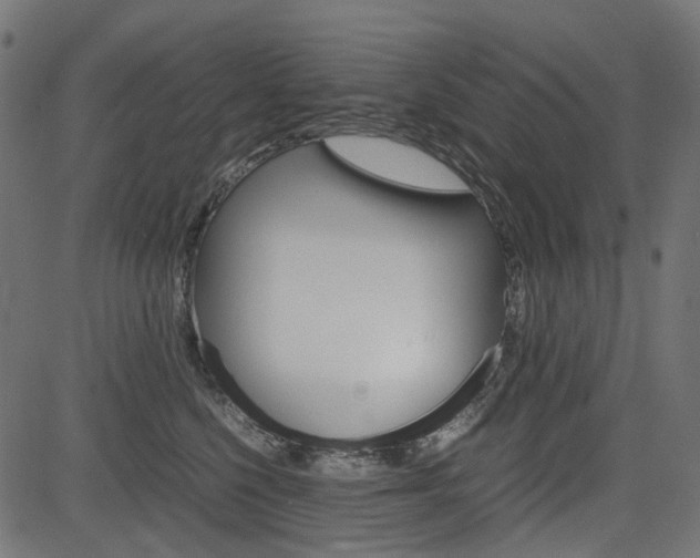 X0000082950568200702011051
