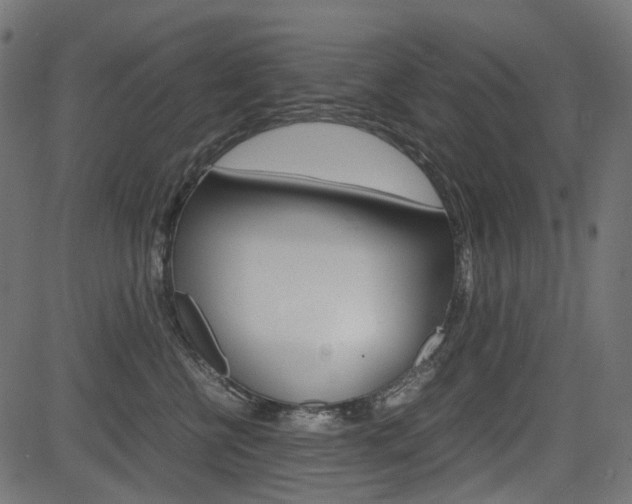X0000082950570200702011051