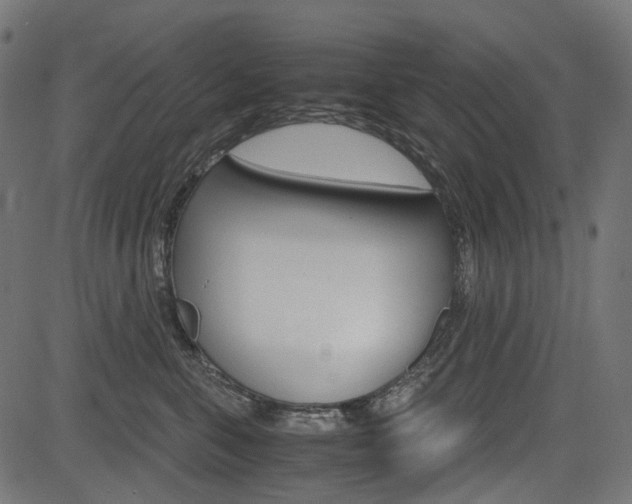 X0000082950571200702011051