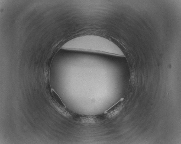 X0000082950572200702011051