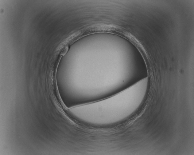 X0000082950581200702011050