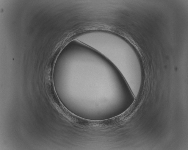 X0000082950585200702011050