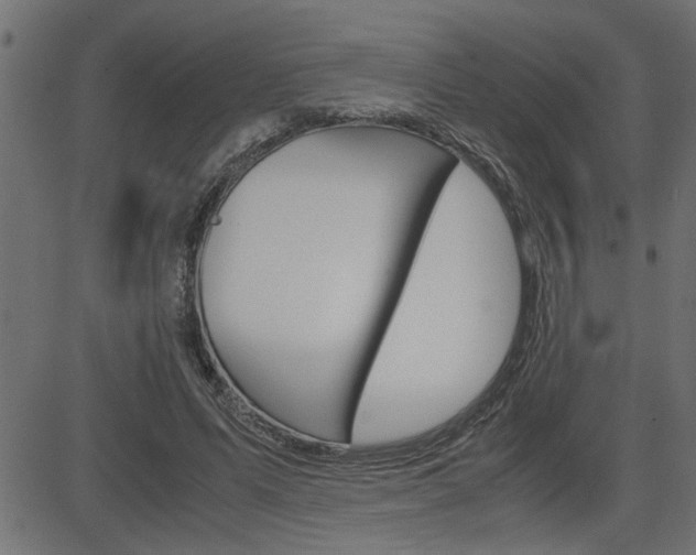 X0000082950591200702011050