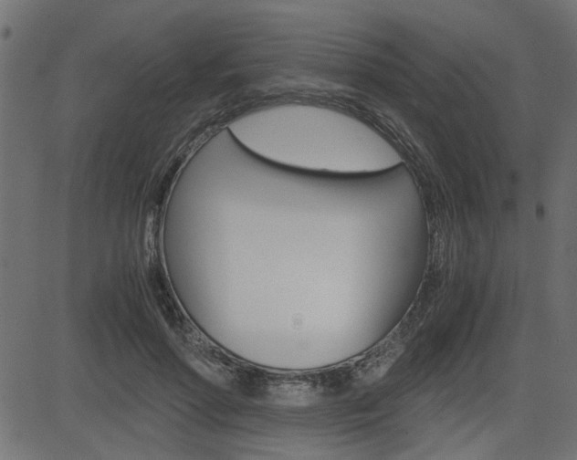 X0000082950598200702011050