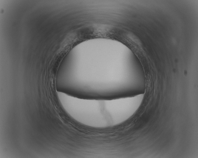 X0000082950603200702011050