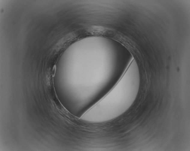 X0000082950604200702011049