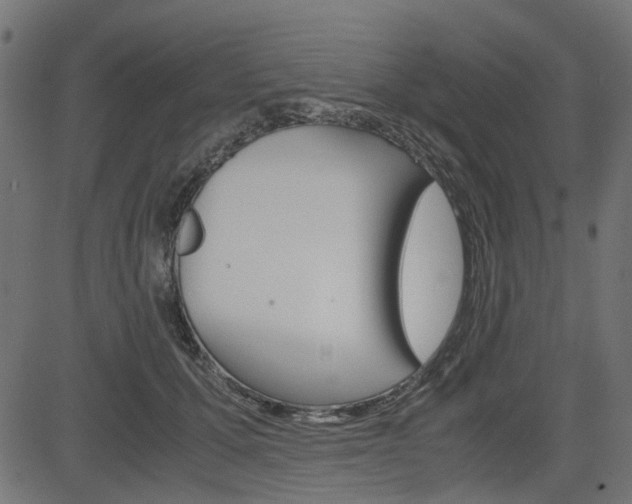 X0000082950607200702011049