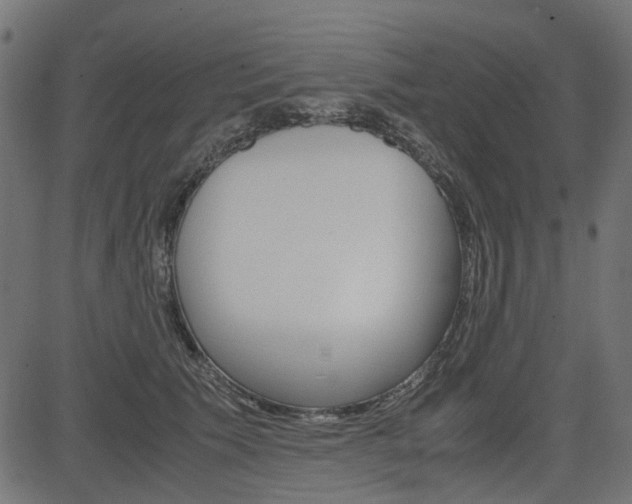 X0000082950609200702011049
